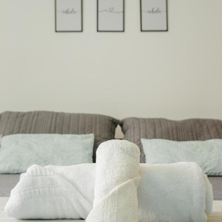 RGA Apartments - One-Bedroom Apartment - 1
