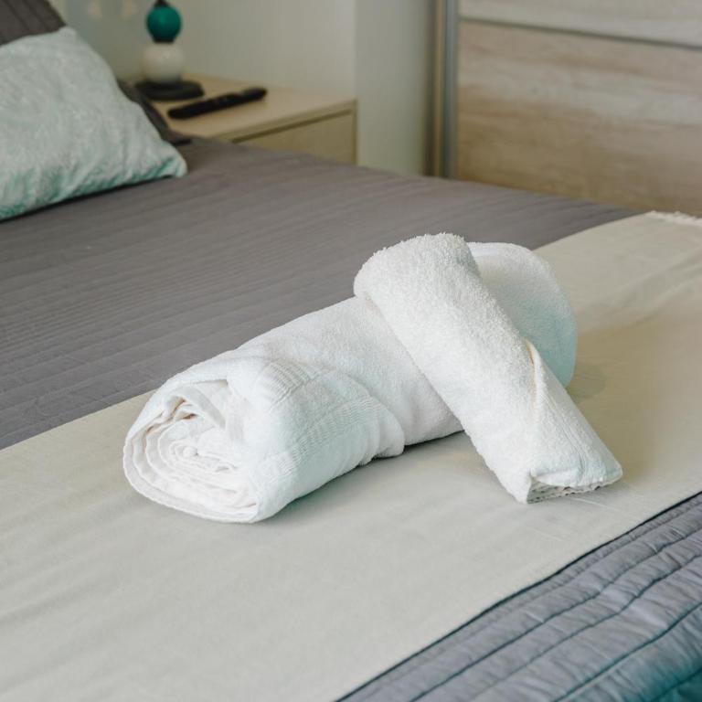 RGA Apartments - One-Bedroom Apartment - 6
