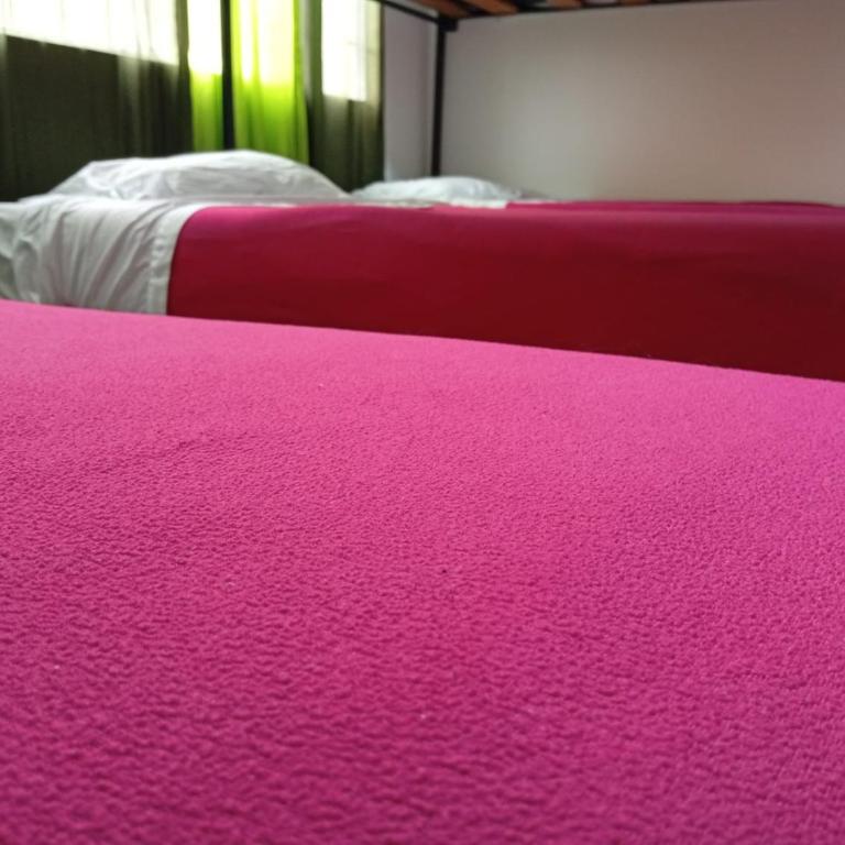 Hostal Cafe San Bernabe - Litera en habitación compartida - Solo mujeres - 3
