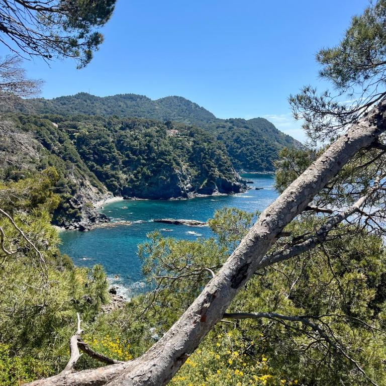 TOUT A PIED Dernier étage Vue imprenable EST-SUD OUEST mer -plage 100m-box - One-Bedroom Apartment - 35
