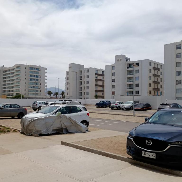HOM l CoWork Mar Serena Pacific Faro - Apartment - 6