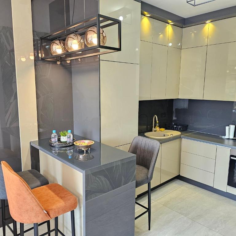 Luxury Penthouse Apartman Sarajevo Bulevar - One-Bedroom Apartment - 2
