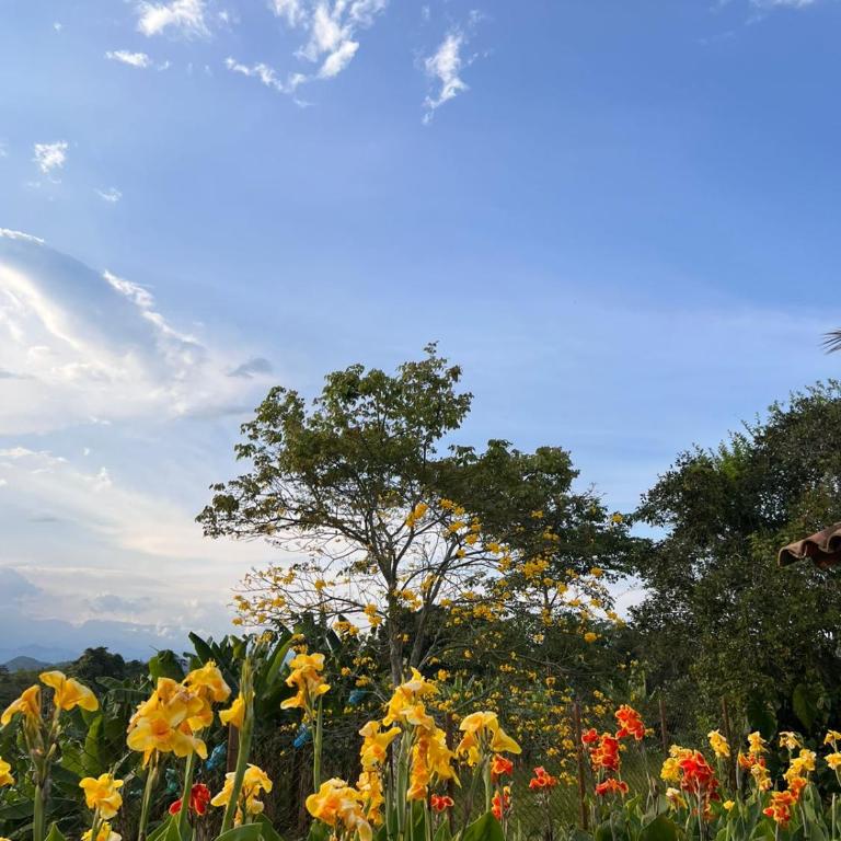 El Rincón Campestre, 2 piscinas y privacidad - Casa de 3 dormitorios - 41