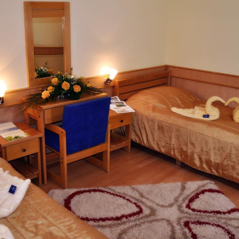 Medical and Spa Centre Merkur - Dvokrevetna Soba sa Zasebnim Krevetima - 4