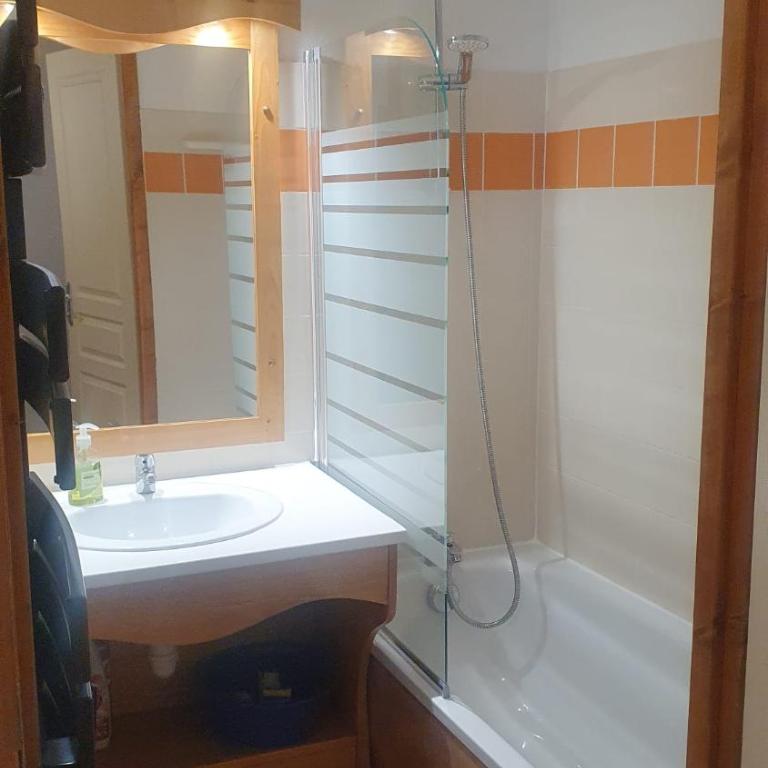 Charmant F2, départ randonnée, pied des pistes, piscine, toutes commodités - Apartamento de 1 dormitorio - 10