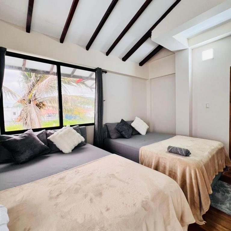 Oceanfront House With Pool and BBQ - Four-Bedroom House - 18