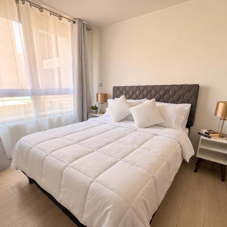 Alameda I Terminal de Buses I Metro San Alberto Hurtado - One-Bedroom Apartment - 2