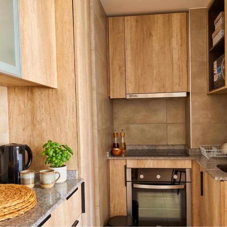 Alameda I Terminal de Buses I Metro San Alberto Hurtado - One-Bedroom Apartment - 3