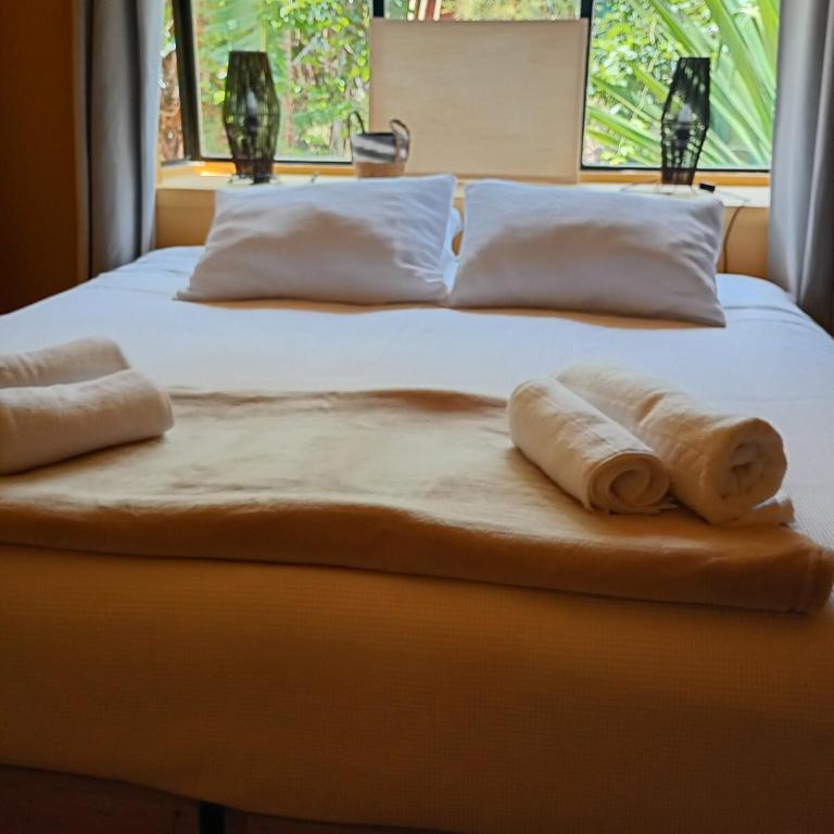 Beautiful cabin on Easter Island - One-Bedroom House - 1