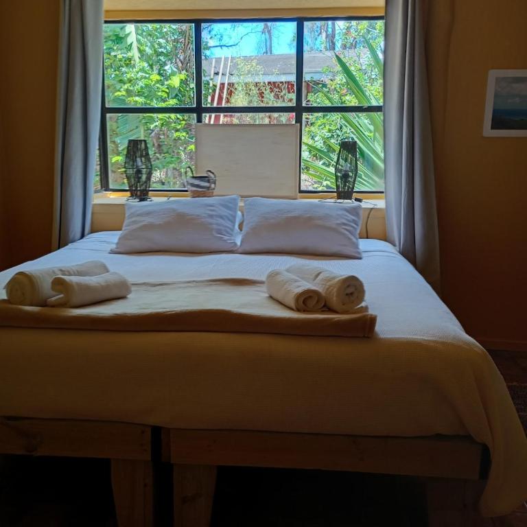 Beautiful cabin on Easter Island - One-Bedroom House - 3