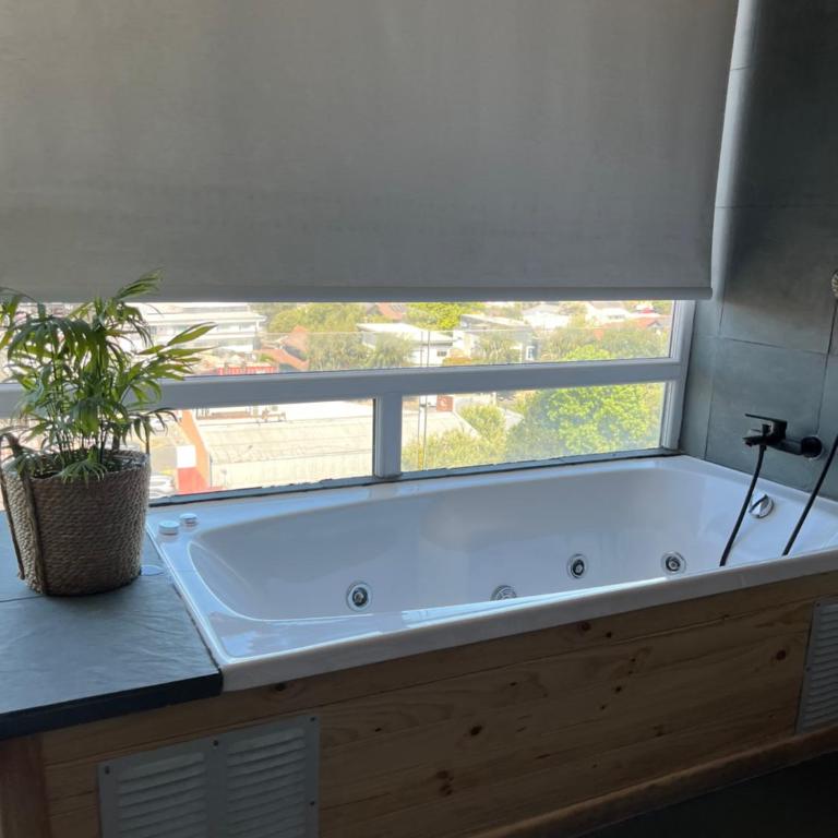 Temuco Depto estudio a pasos Av Alemania y centro comerciales - One-Bedroom Apartment - 11