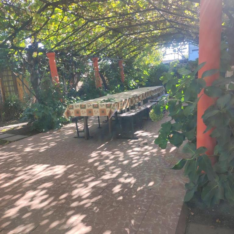 Hostal Puerta del Sol Molina - Apartment with Garden View - 7