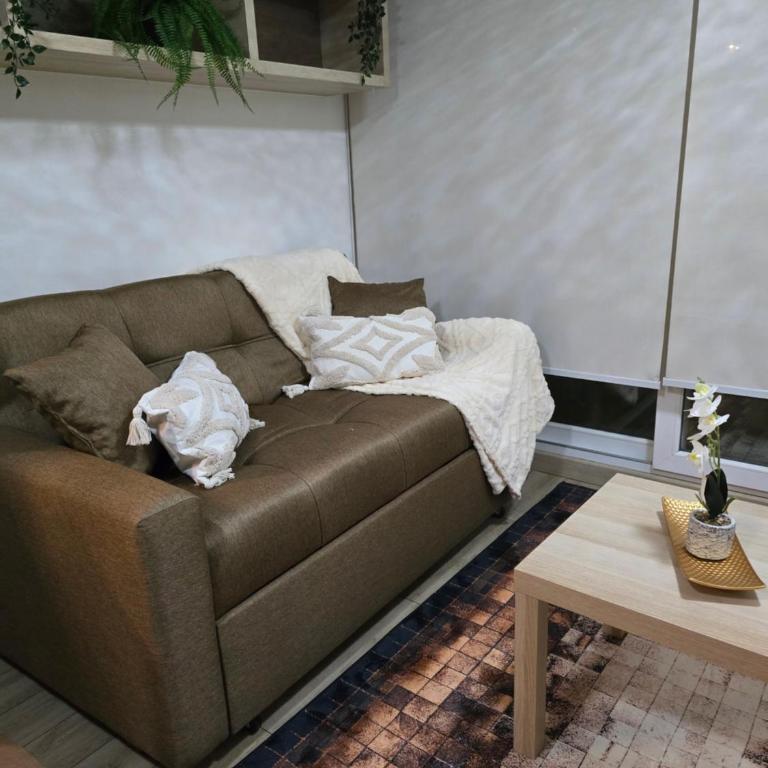Precioso departamento a pasos barrio Italia - Apartamento Premium de 1 dormitorio - 12