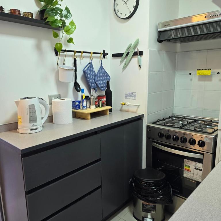 Nuevo y Céntrico Departamento 2 o 3 dormitorios parcking y wifi gratis - Apartment with City View - 12