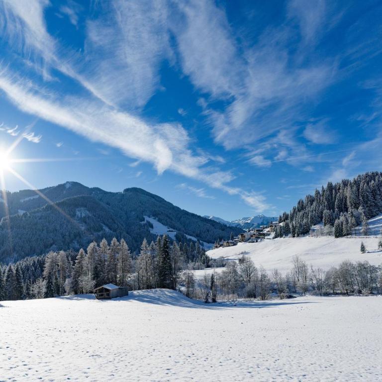 Holiday Village Wildschönau Traditional Chalet - Ferienhaus mit 3 Schlafzimmern - 39