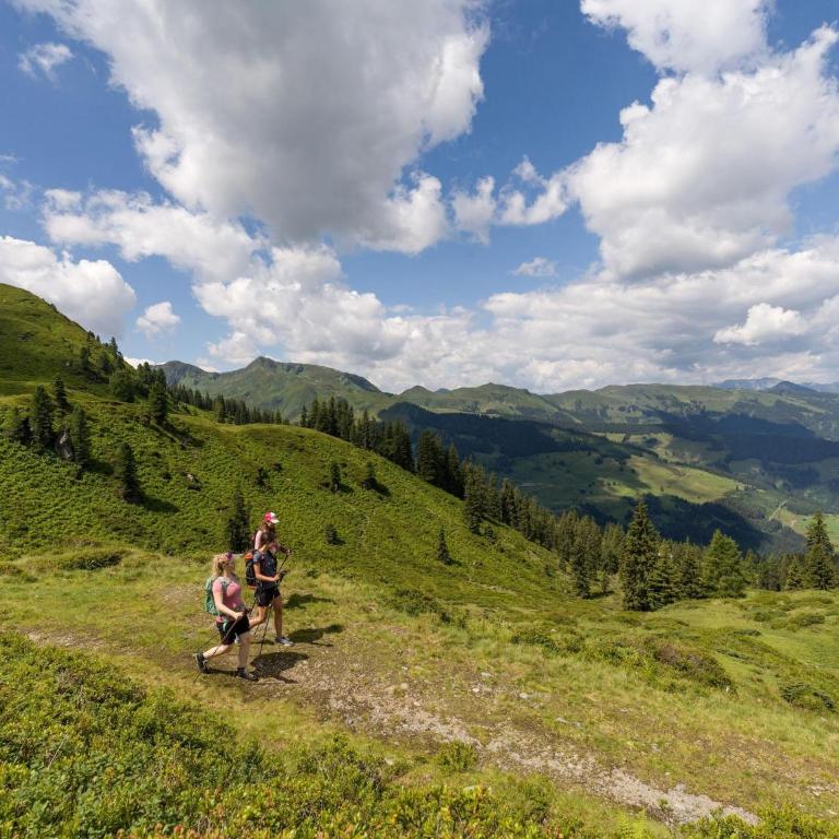 Holiday village Wildschönau in Kitzbühel Alps - Ferienhaus mit 3 Schlafzimmern - 32