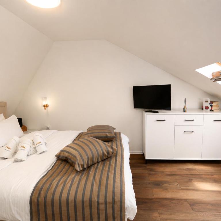 Old Town Loft Sarajevo, with Free Parking - Apartman sa 2 Spavaće Sobe - 3
