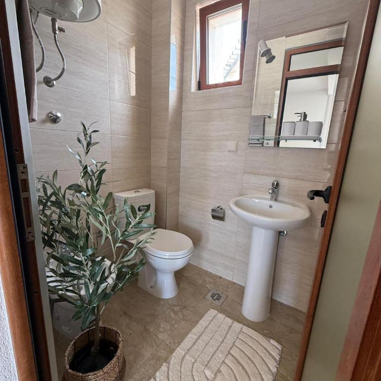 Villa Herceg Novi - Sunny Hill - Villa with Sea View - 74