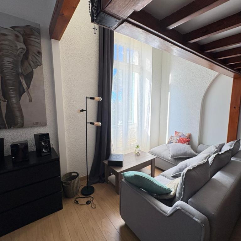 Cannes situation idéale - Appartamento con 1 Camera da Letto - 10