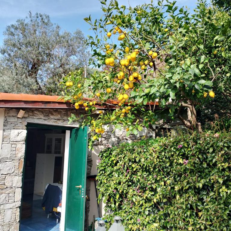 la Baracca - Casa con 2 Camere da Letto - 17