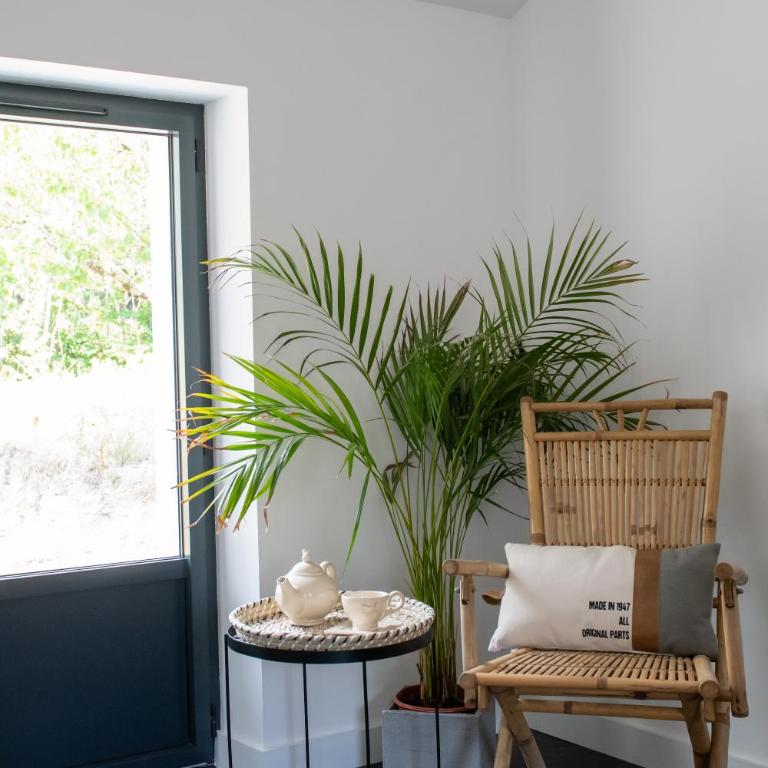 Green Surf Lodge - Villa - 12