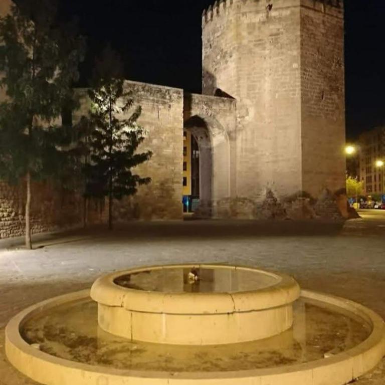 Lagunilla Suites - Apartamento de 1 dormitorio - 16