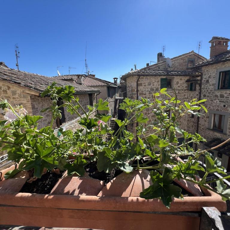 La casina del borgo - Monolocale Nettuno - Appartamento con 1 Camera da Letto - 29