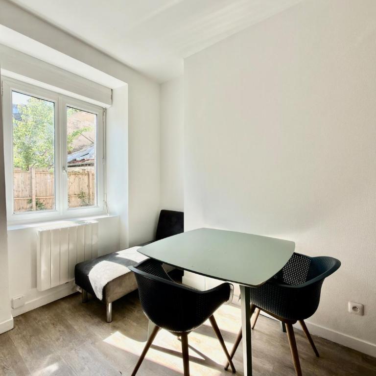 Charmant T2 lumineux avenue Garibaldi - DABNB - Appartement 1 Chambre - 5