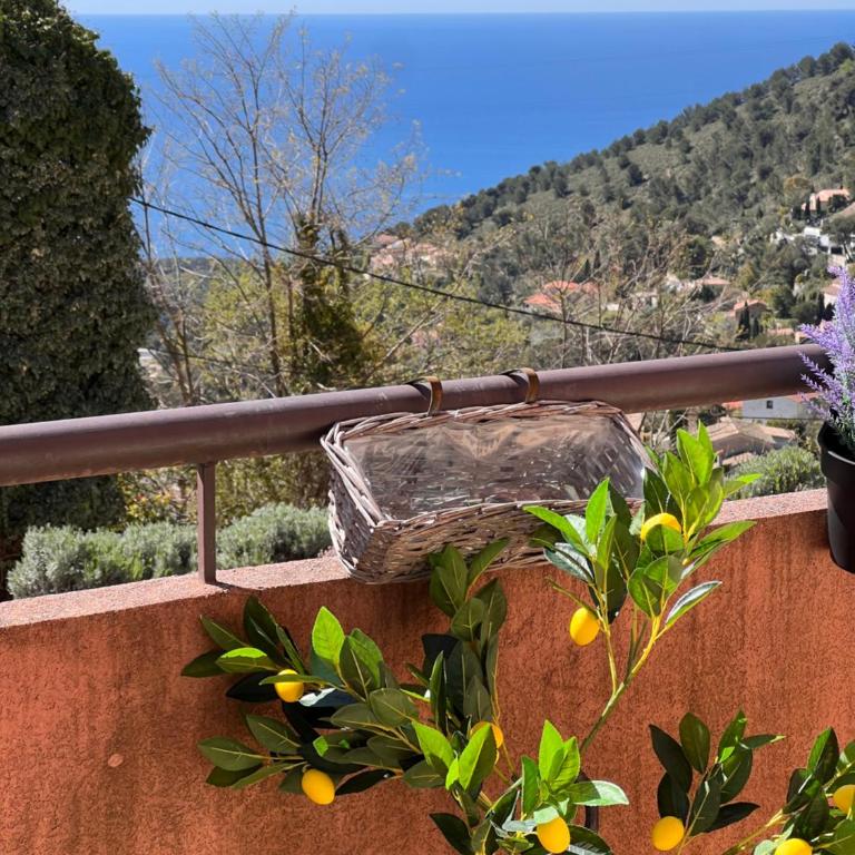 A 8mn de Monaco luxueux 3 personnes, terrasse, vue panoramique mer, PISCINE - Apartment mit 1 Schlafzimmer - 3