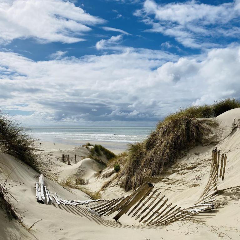 Appartement au pied de la plage et des dunes - Appartamento con 1 Camera da Letto - 6