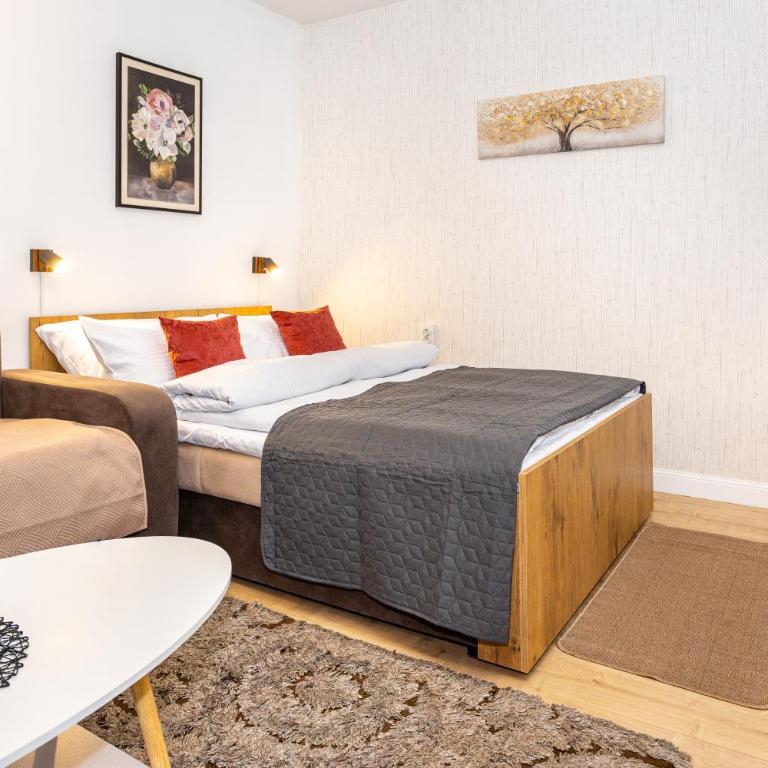 Apartment ElSA - Apartman sa 1 Spavaćom Sobom - 1
