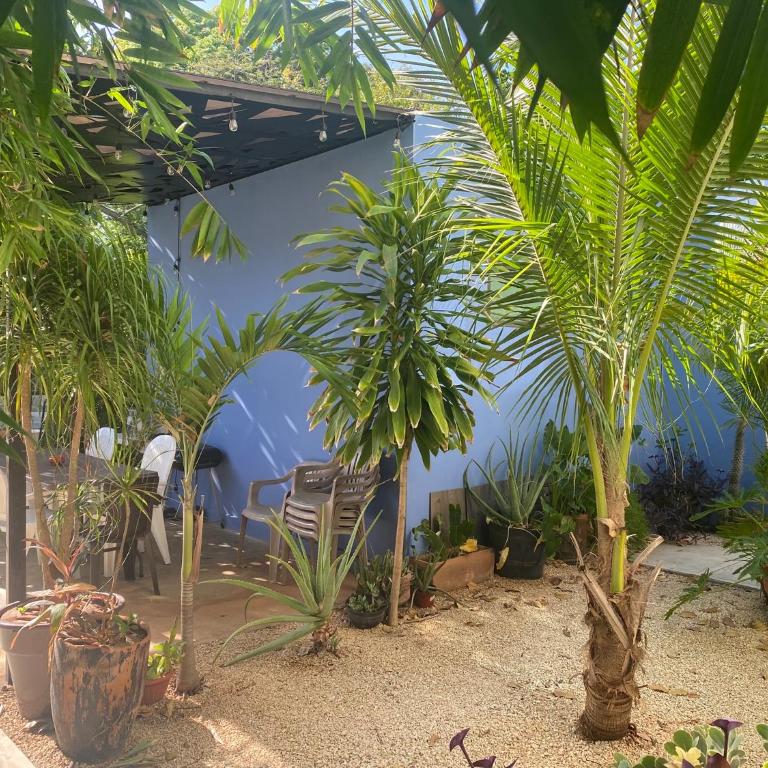 Estudio en “casa Livia” con piscina y jardín. - Studio with Garden View - 20