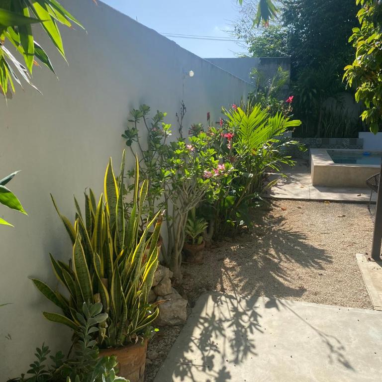 Estudio en “casa Livia” con piscina y jardín. - Studio with Garden View - 21