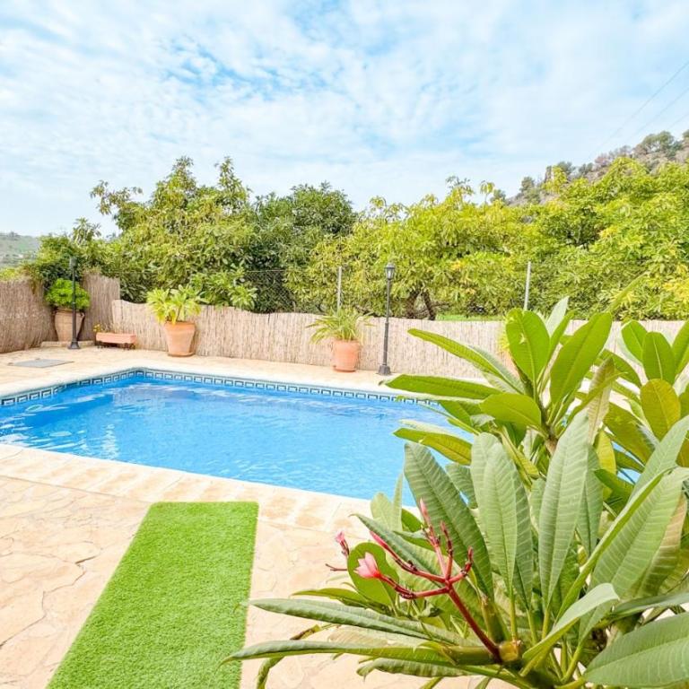 Cortijo Florencia - Casa con 1 dormitorio - 18
