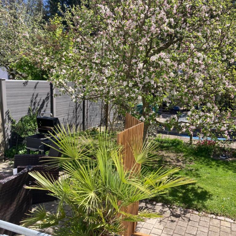 Ferienwohnung Hollmann - Apartment mit 2 Schlafzimmern und Gartenblick - 12