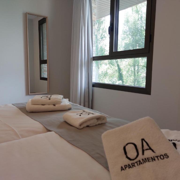 Apartamentos Ordesa Ainsa - Three-Bedroom Apartment - 18