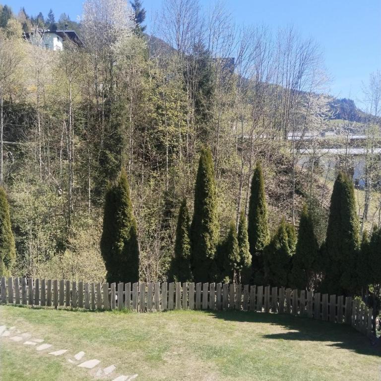 Appartement Ammerer - Apartment mit 2 Schlafzimmern und Dusche - 3