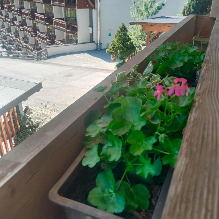 Appartement Ammerer - Apartment mit 2 Schlafzimmern und Dusche - 5