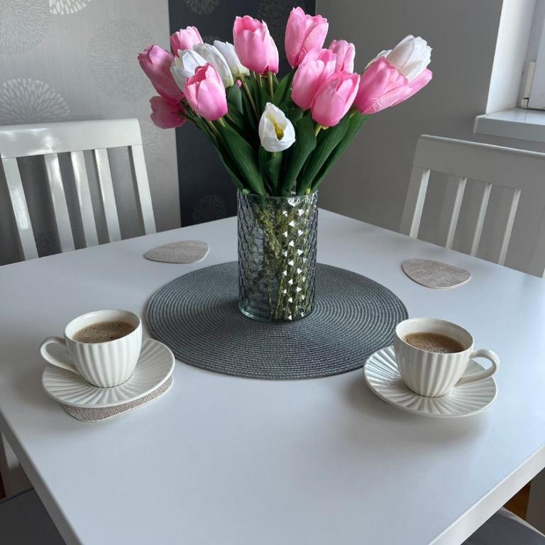Apartman Katanic - Apartman sa Balkonom - 5