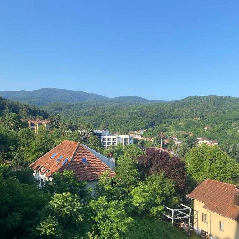 Apartman Katanic - Apartman sa Balkonom - 14