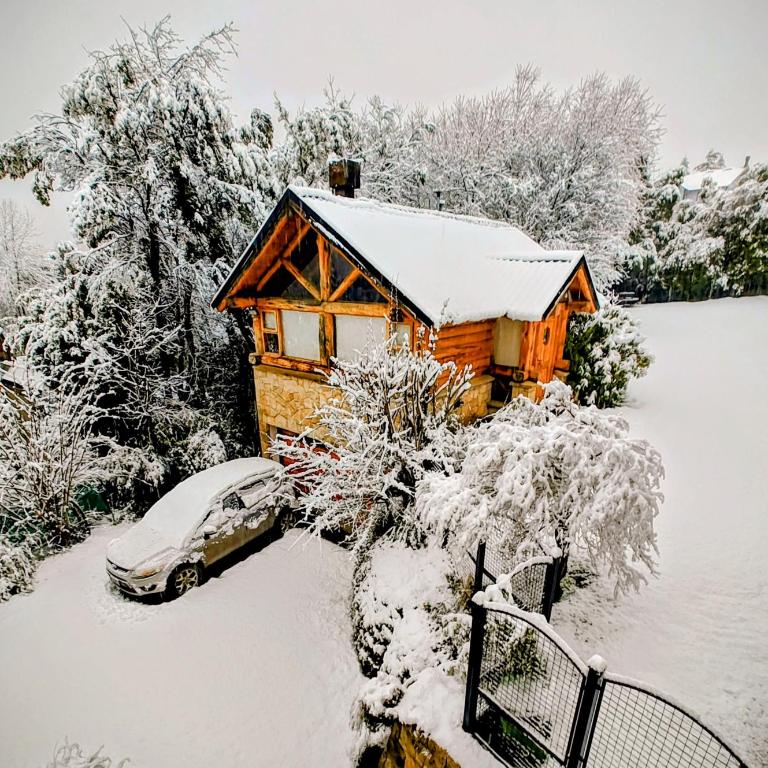 Blue Bird House - Chalet - 1