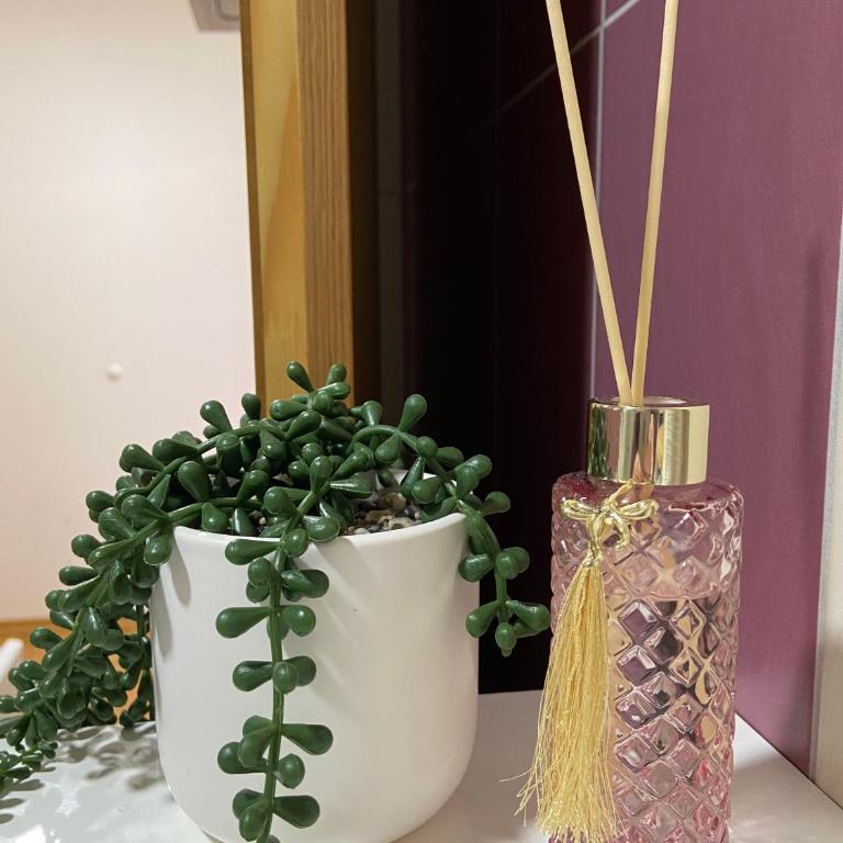 Apartman Katanic - Apartman sa Balkonom - 15