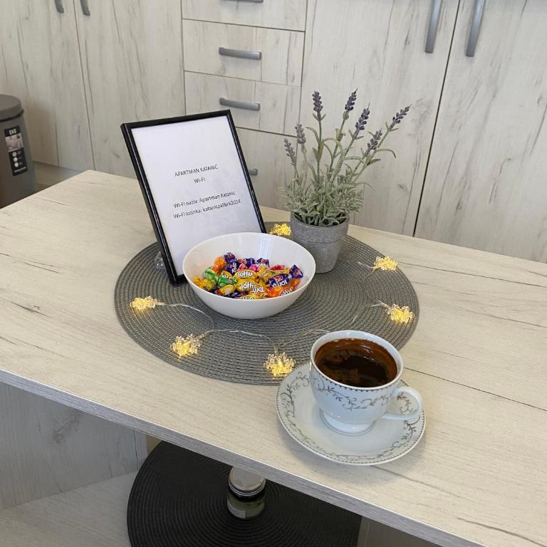 Apartman Katanic - Apartman sa Balkonom - 23