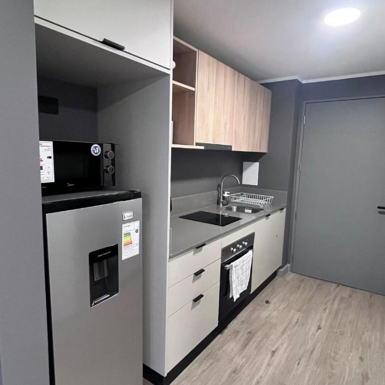 Nice and Cozy Studio in Downtown Santiago - One-Bedroom Apartment - 5