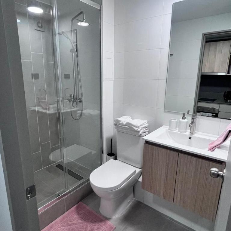 Nice and Cozy Studio in Downtown Santiago - One-Bedroom Apartment - 10