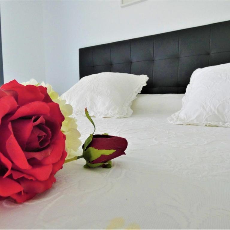 OCEAN VIEW Deluxe Apartment - Apartment with Sea View - 10