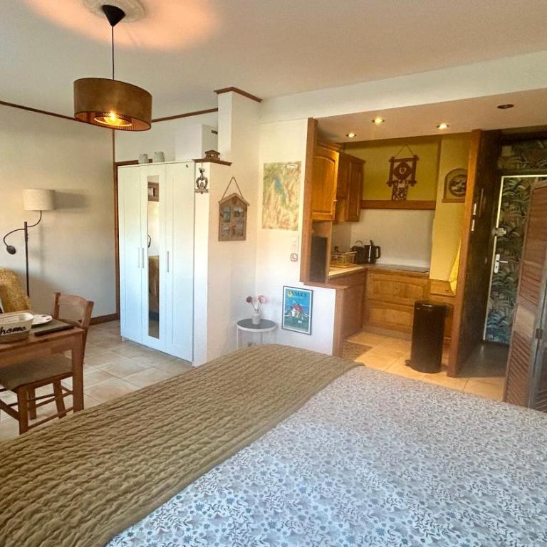 Vue montagnes, à 5 mn du lac et de la piste cyclable,lit King size, Park gratuit - Appartement 1 Chambre - 7