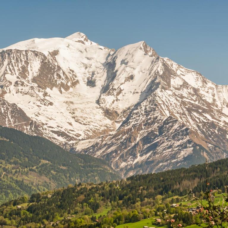 Les Praz d'Arvillon Mont Blanc View Combloux - Appartement avec Vue - 34