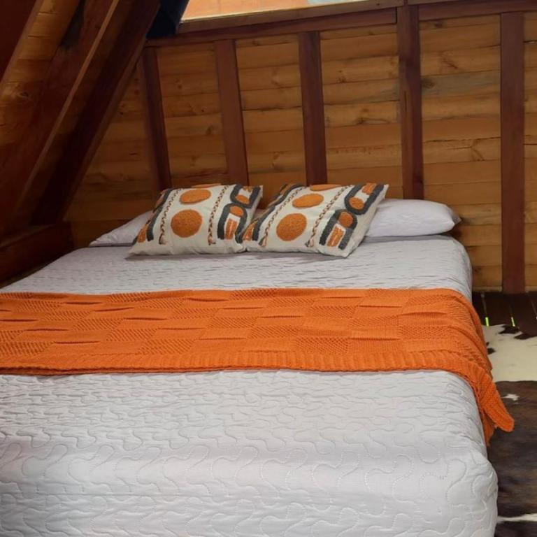 Refugio Nidos del Condor Cocora - Tienda - 9
