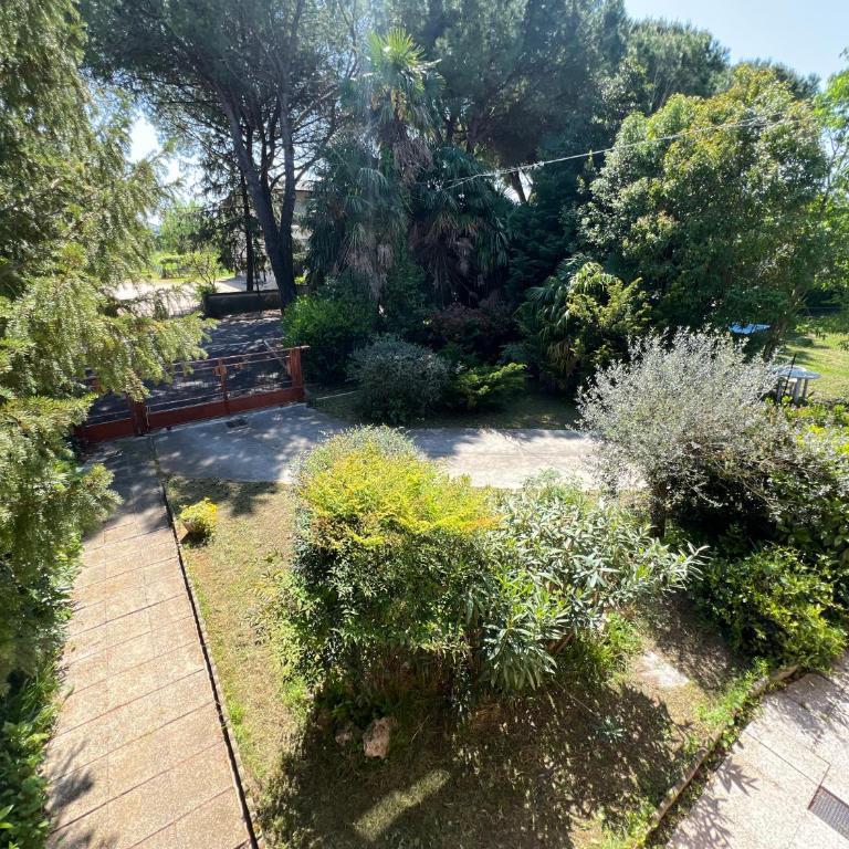 Villa Egles - Villa con giardino a Lignano Sabbiadoro - Villa - 43